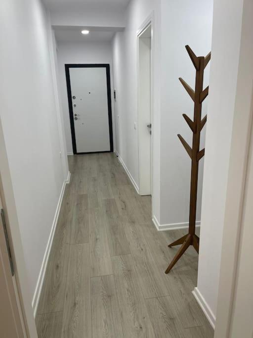 Melody Apartment In コルチャ エクステリア 写真