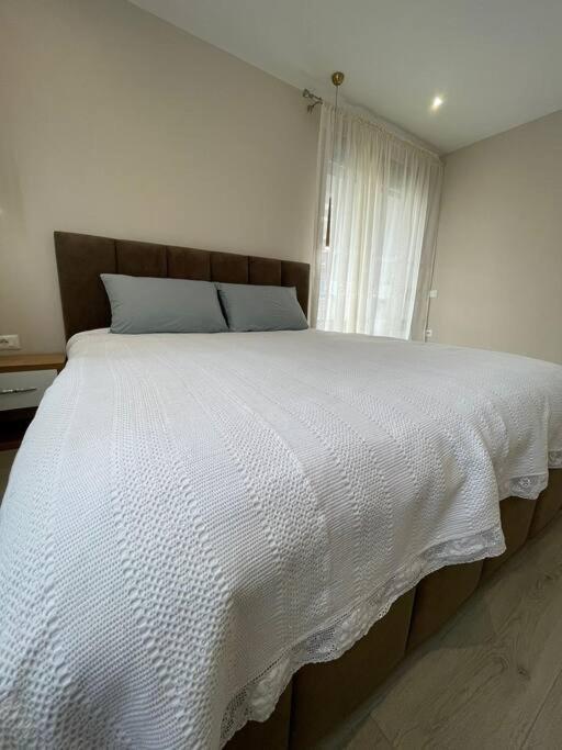 Melody Apartment In コルチャ エクステリア 写真